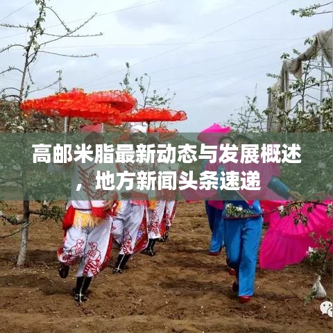高邮米脂最新动态与发展概述，地方新闻头条速递