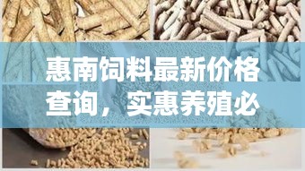 惠南饲料最新价格查询，实惠养殖必备之选！