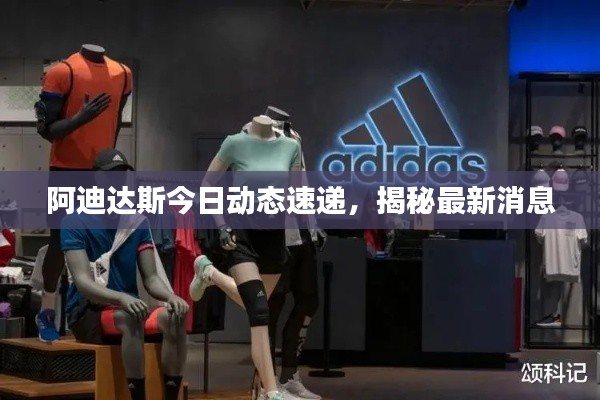 阿迪达斯今日动态速递，揭秘最新消息