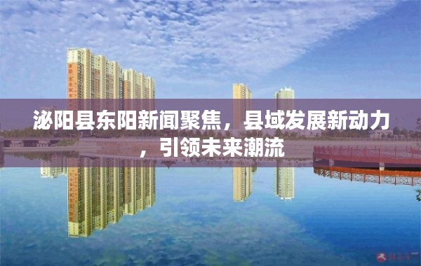 泌阳县东阳新闻聚焦，县域发展新动力，引领未来潮流