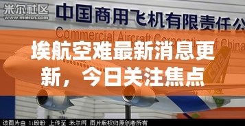 埃航空难最新消息更新，今日关注焦点