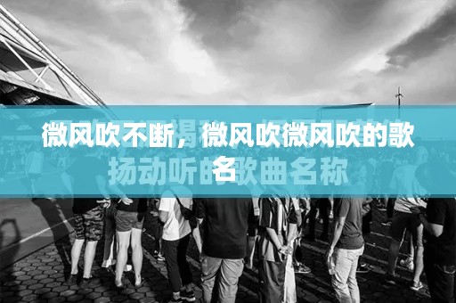 微风吹不断，微风吹微风吹的歌名 