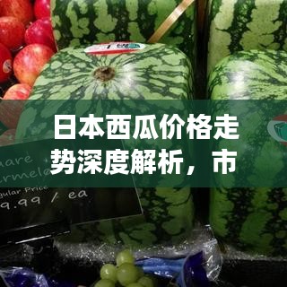 日本西瓜价格走势深度解析，市场行情一览