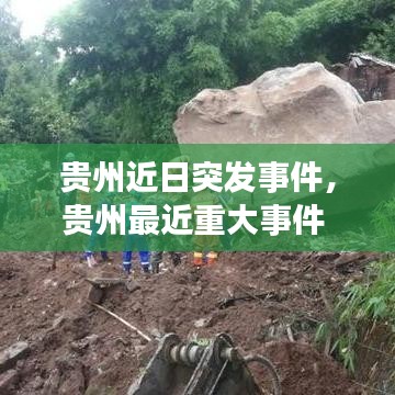 贵险贱璧