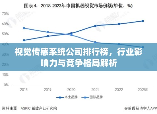 视觉传感系统公司排行榜，行业影响力与竞争格局解析