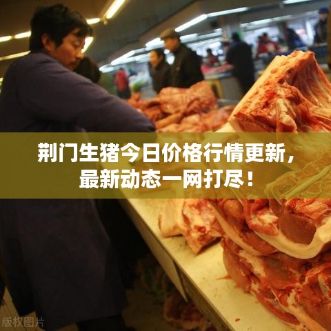 荆门生猪今日价格行情更新，最新动态一网打尽！