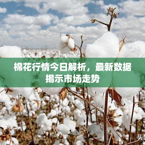 真独简贵