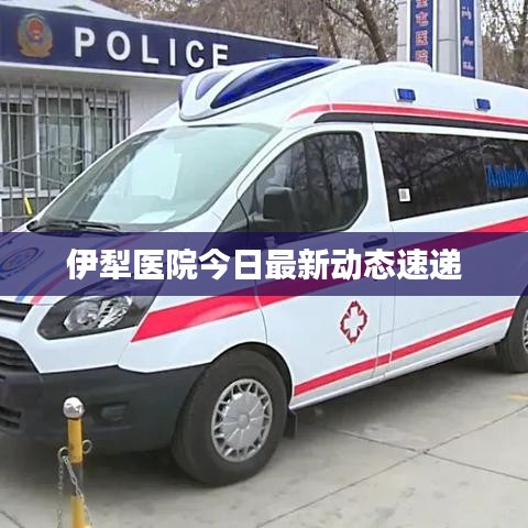 伊犁医院今日最新动态速递