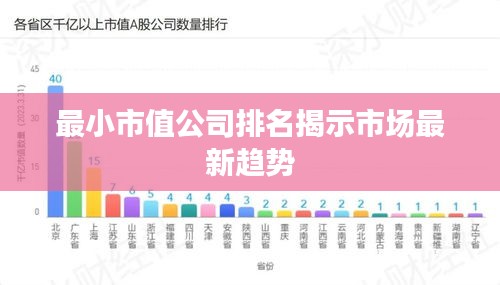 最小市值公司排名揭示市场最新趋势