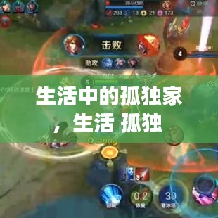 生活中的孤独家，生活 孤独 
