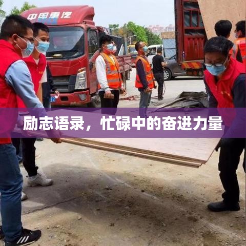 贵阴贱璧