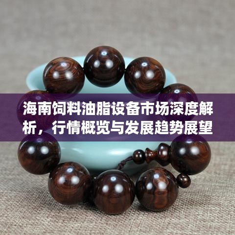 海南饲料油脂设备市场深度解析，行情概览与发展趋势展望