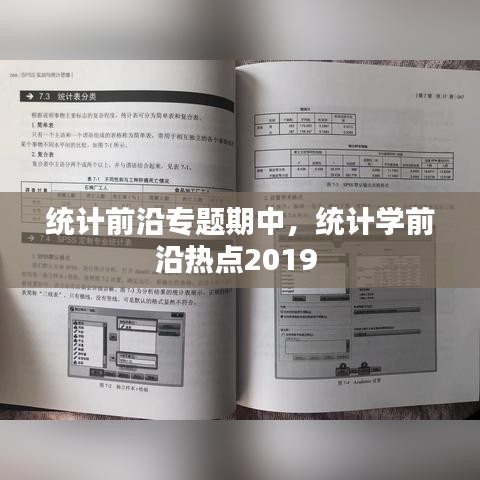 统计前沿专题期中，统计学前沿热点2019 
