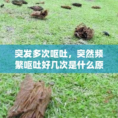 施工现场 第12页
