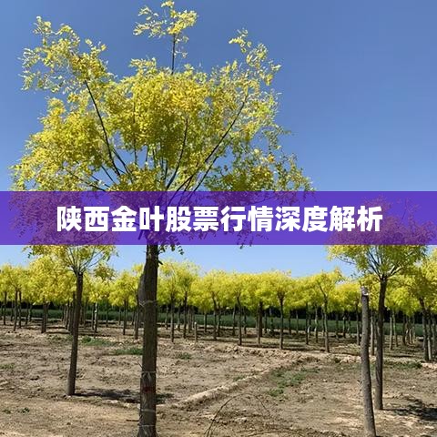 虎背熊腰