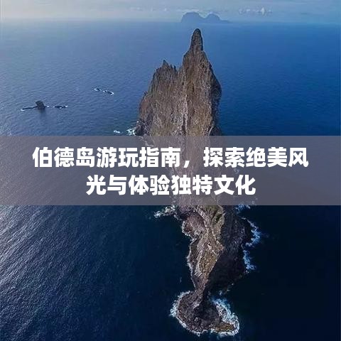 惊弦之鸟