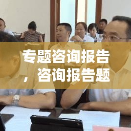 专题咨询报告，咨询报告题目 