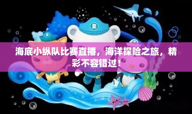 海底小纵队比赛直播，海洋探险之旅，精彩不容错过！
