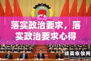 落实政治要求，落实政治要求心得体会 