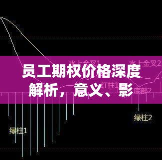员工期权价格深度解析，意义、影响因素全攻略！