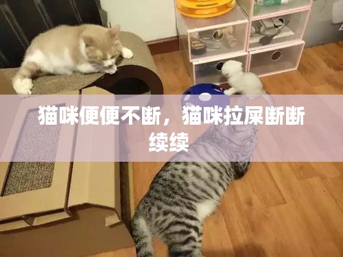 chongyanniaoji