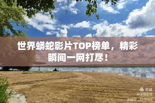 世界蟒蛇影片TOP榜单，精彩瞬间一网打尽！