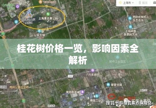 新闻资讯 第11页