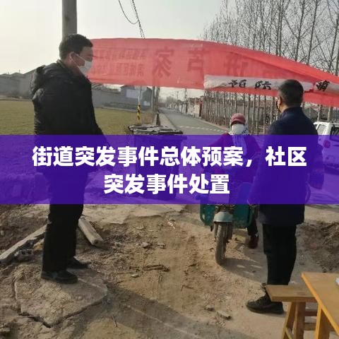 驾轻就熟