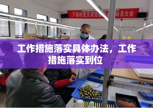 工作措施落实具体办法，工作措施落实到位 