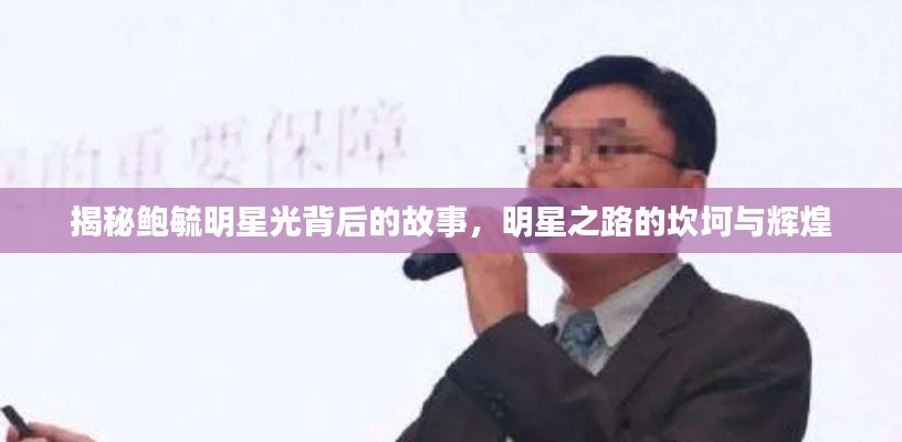 揭秘鲍毓明星光背后的故事，明星之路的坎坷与辉煌