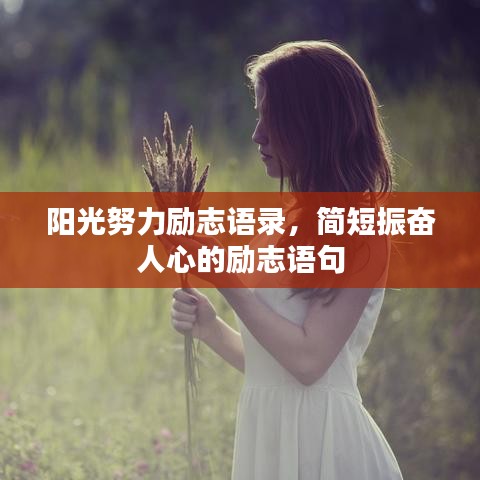 眉目如画