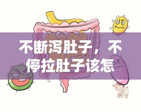 不断泻肚子，不停拉肚子该怎么办 