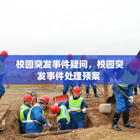 校园突发事件疑问，校园突发事件处理预案 
