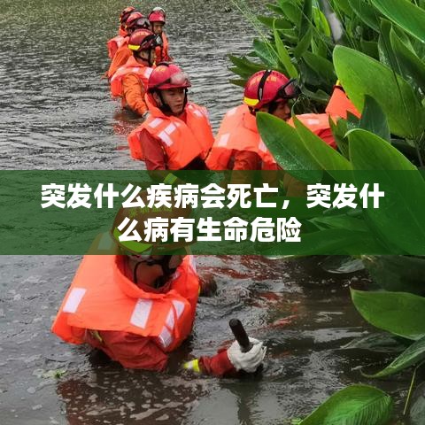 突发什么疾病会死亡，突发什么病有生命危险 