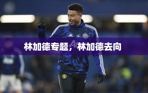 林加德专题，林加德去向 