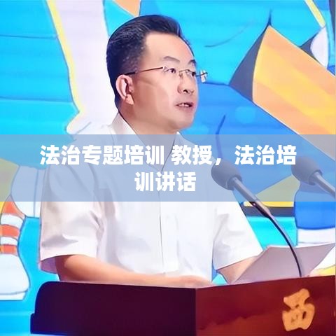 法治专题培训 教授，法治培训讲话 