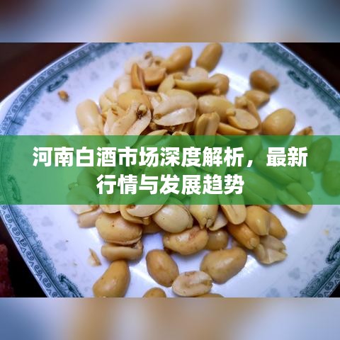 河南白酒市场深度解析，最新行情与发展趋势