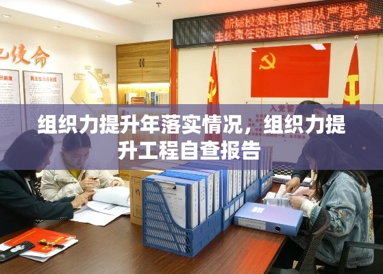 组织力提升年落实情况，组织力提升工程自查报告 