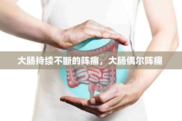 一言九鼎