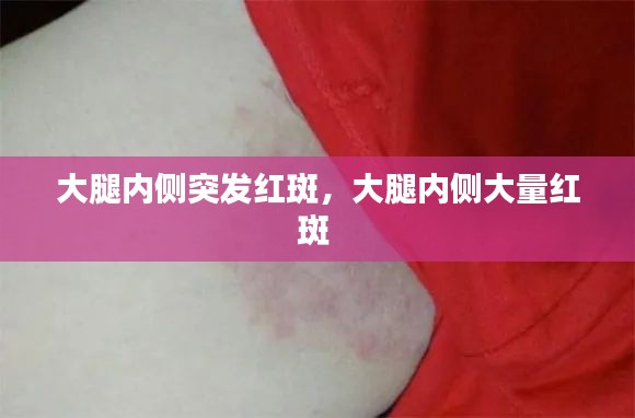 新闻资讯 第8页