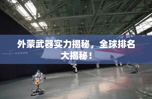 外蒙武器实力揭秘，全球排名大揭秘！