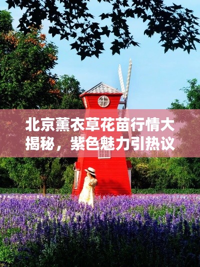 骨瘦如柴