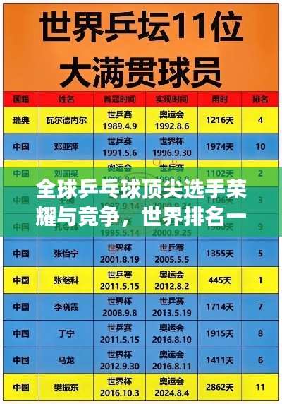 全球乒乓球顶尖选手荣耀与竞争，世界排名一览