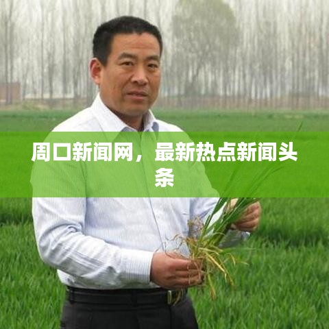 周口新闻网，最新热点新闻头条