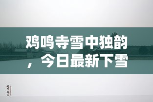 鸡鸣寺雪中独韵，今日最新下雪视频惊艳全网