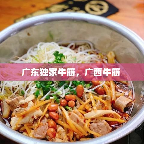 广东独家牛筋，广西牛筋 