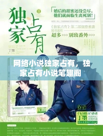 网络小说独家占有，独家占有小说笔趣阁 