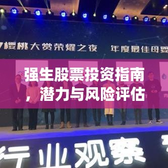 强生股票投资指南，潜力与风险评估全解析