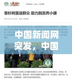 施工现场 第5页