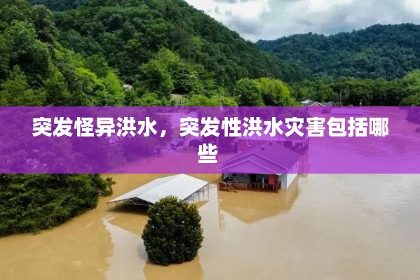突发怪异洪水，突发性洪水灾害包括哪些 